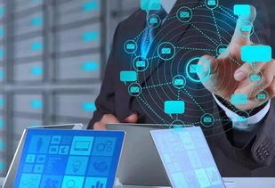 河北互联网政务服务发展成效显著，权威数据透视创新与惠民成果